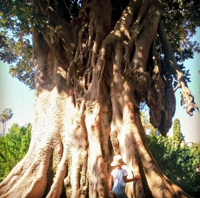 Séance de kinésiologie adulte